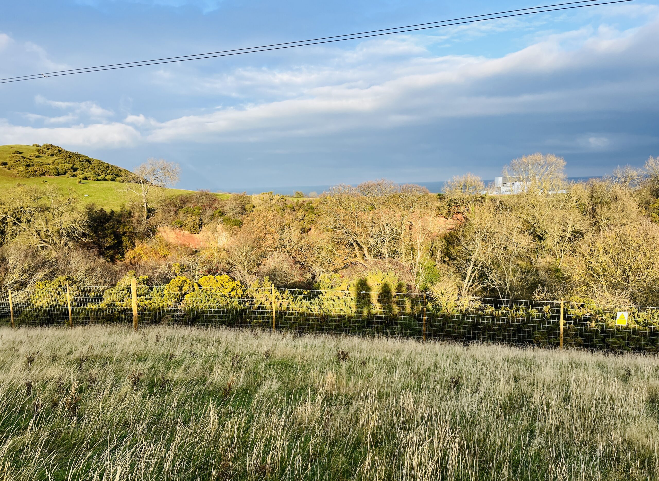 Interested in Biodiversity