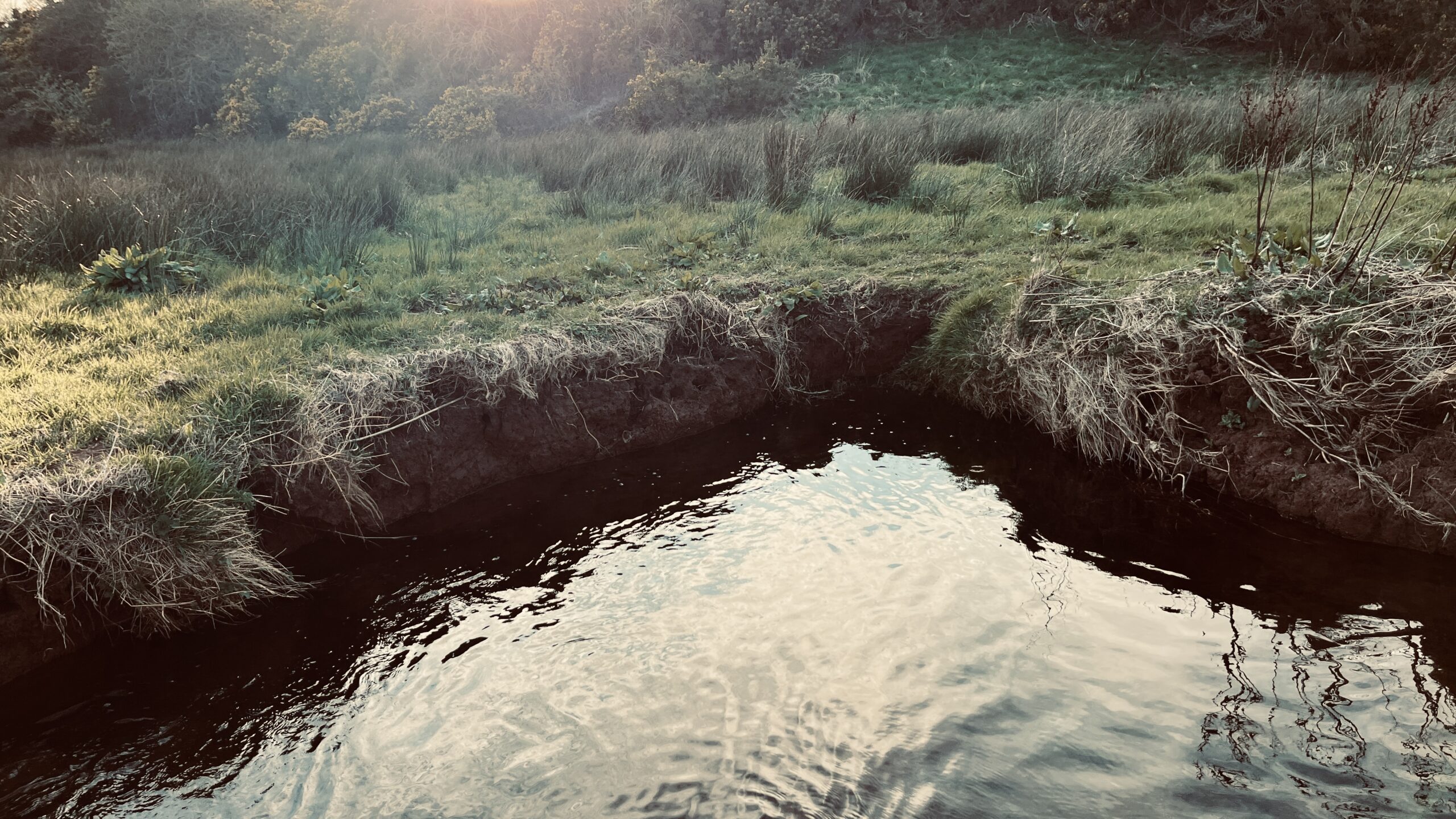 Meandering in Action