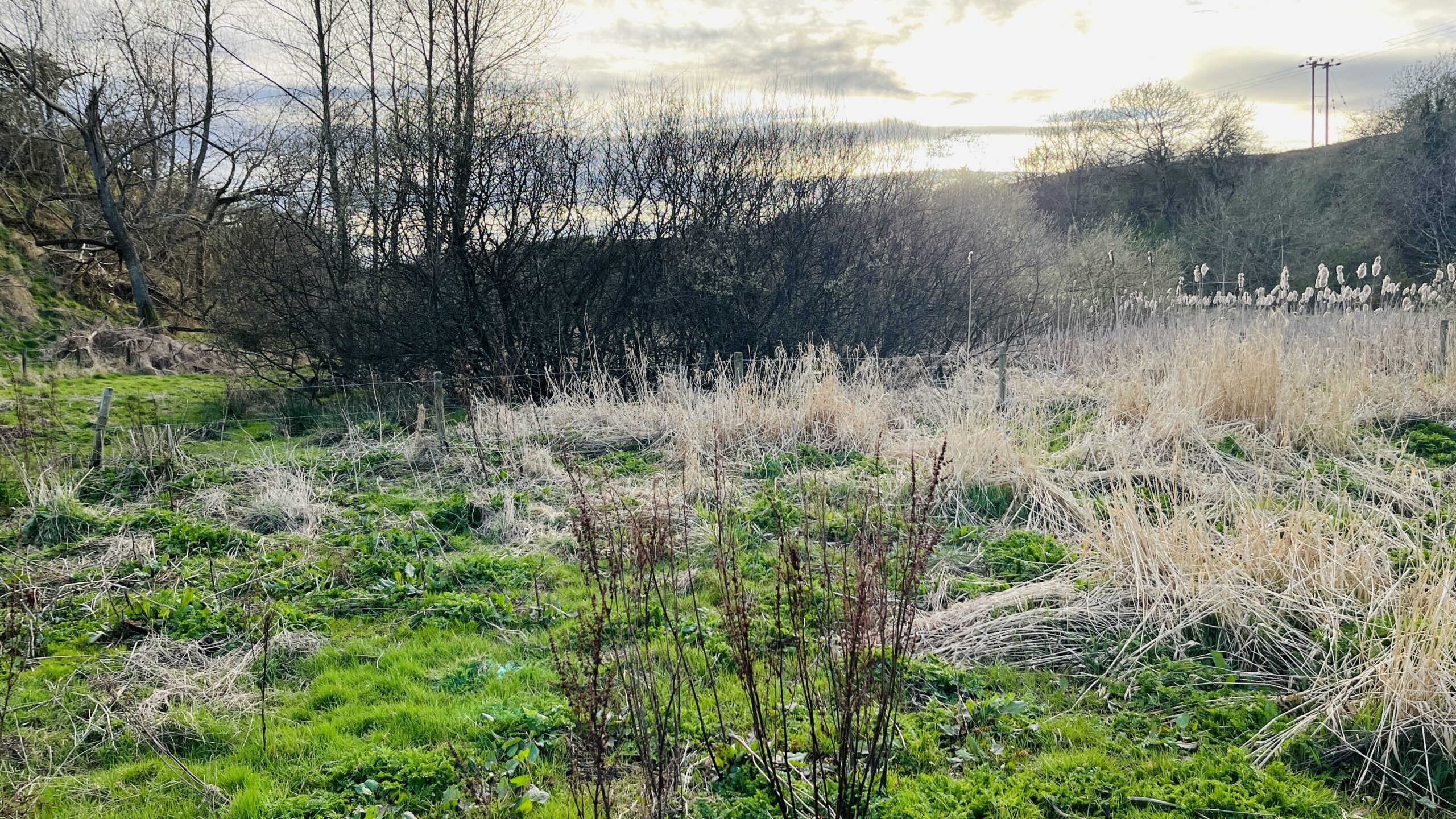 The Curling Pond Spott